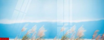 File gốc File tranh gốc in tranh tường nền tổng hợp H36808 (in ấn) màu sắc trung thực