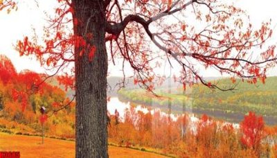 Tải file gốc File tranh decor tranh bộ treo tường tổng hợp H3685 (in tráng gương) siêu đẹpFile tranh gốc File tranh decor tranh bộ treo tường tổng hợp H3685 chất lượng cao