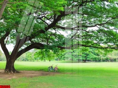 File ảnh File tranh gốc in tranh tường nền tổng hợp H36934 (gốc) trang trí khách sạn