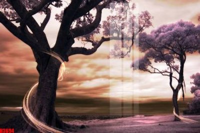 Tải file File tranh decor tranh bộ treo tường tổng hợp H3694 (gốc) in ấn chất lượng