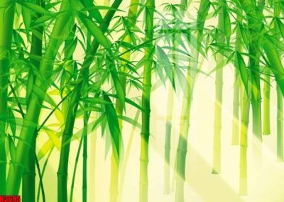 Mua file tranh gốc File tranh decor tranh bộ treo tường tổng hợp H3695 tại Filetranh.com