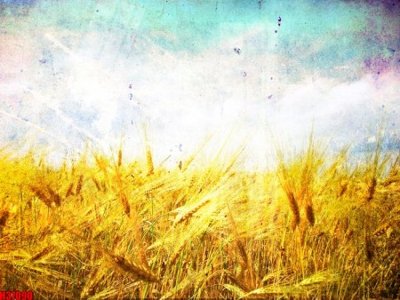 File PSD File tranh gốc in tranh tường nền tổng hợp H37090 (chất lượng in ấn)