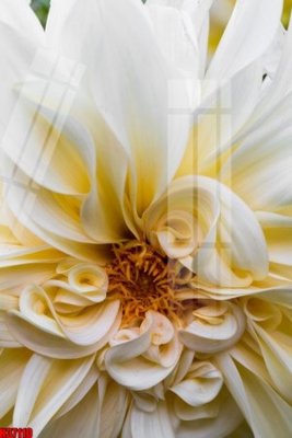 File ảnh File tranh gốc in tranh tường nền tổng hợp H37110 (gốc) in biển hiệu