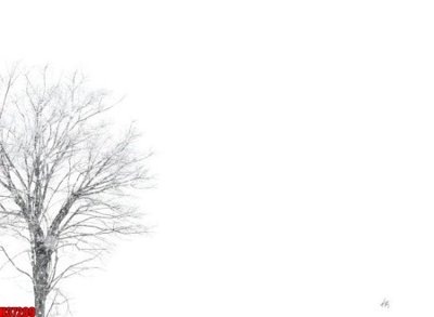 File gốc File tranh gốc in tranh tường nền tổng hợp H37289 (trang trí) phòng làm việc