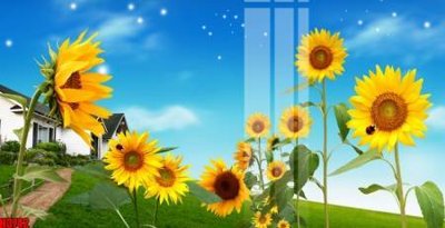 File gốc File tranh decor tranh bộ treo tường tổng hợp H3742 (PNG) không nền chất lượng