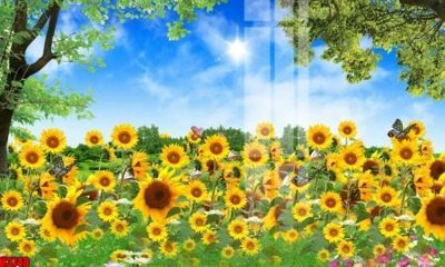 Tệp tin gốc File tranh decor tranh bộ treo tường tổng hợp H3748 (chất lượng cao) File tranh decor tranh bộ treo tường tổng hợp H3748