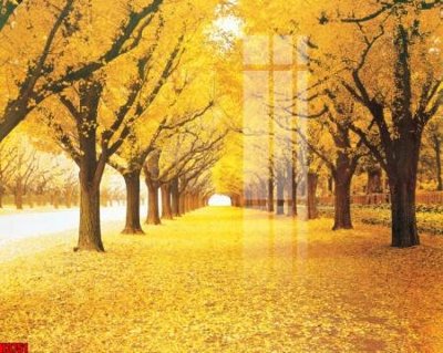 File tranh File tranh decor tranh bộ treo tường tổng hợp H3751 (file gốc) chủ đề phong thủy