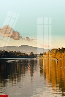 File tranh File tranh gốc in tranh tường nền tổng hợp H37599 (gốc) chủ đề động vật