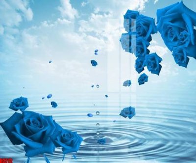 Tải file File tranh decor tranh bộ treo tường tổng hợp H3772 (gốc) làm file in ấn