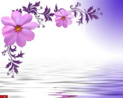 File gốc File tranh decor tranh bộ treo tường tổng hợp H3774 (in lụa) tranh mã đáo