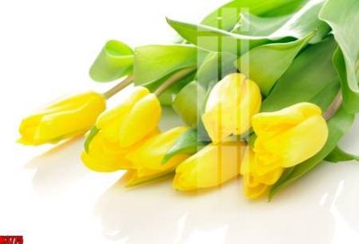 File PSD File tranh decor tranh bộ treo tường tổng hợp H3775 (gốc) cho in quảng cáo