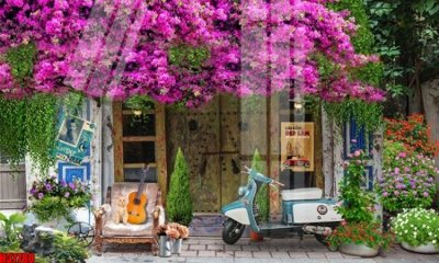 Download file File tranh gốc in tranh tường nền tổng hợp H37780 (gốc) in mica ốp bếp