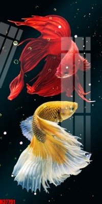 File gốc File tranh gốc in tranh tường nền tổng hợp H37791 (in tráng gương) sang trọng