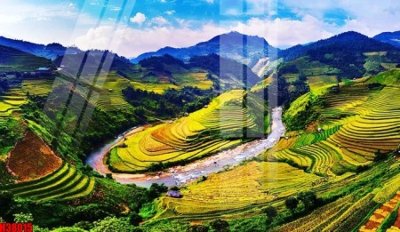 File PSD File tranh gốc in tranh tường nền tổng hợp H38015 (bản gốc) dễ dàng edit