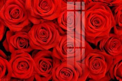 File in trần File tranh decor tranh bộ treo tường tổng hợp H3810 (file gốc) phong thủy