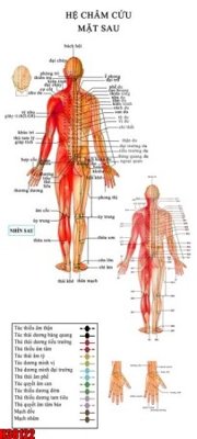 File gốc File tranh gốc in tranh tường nền tổng hợp H38122 cho in ấn và thiết kế