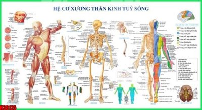 Download file File tranh gốc in tranh tường nền tổng hợp H38125 (chuẩn in) File tranh gốc in tranh tường nền tổng hợp H38125