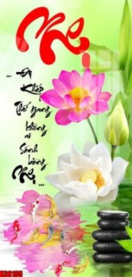 Tải file File tranh gốc in tranh tường nền tổng hợp H38195 (ảnh gốc) in gạch men