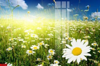 File gốc File tranh decor tranh bộ treo tường tổng hợp H3820 (phong cách) cổ điển