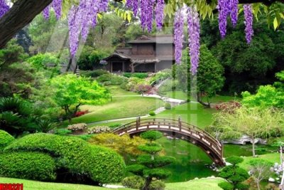 Tải file File tranh gốc in tranh tường nền tổng hợp H38231 (gốc) in trên mọi chất liệu