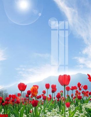 File tranh in tráng gương File tranh decor tranh bộ treo tường tổng hợp H3878 (siêu nét)