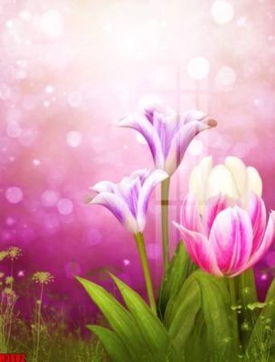 Download file File tranh decor tranh bộ treo tường tổng hợp H3882 (gốc) in mica cao cấp