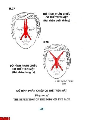 Tệp tin gốc File tranh gốc in tranh tường nền tổng hợp H38831 (dùng cho in) File tranh gốc in tranh tường nền tổng hợp H38831