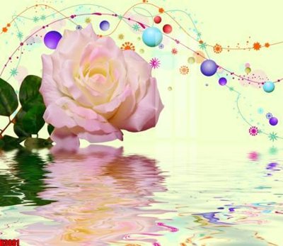 File gốc File tranh decor tranh bộ treo tường tổng hợp H3891 (in mica) trang trí