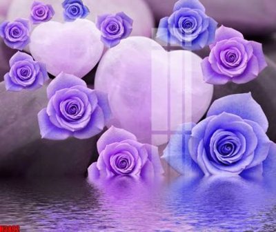 File in lụa File tranh decor tranh bộ treo tường tổng hợp H3892 (chất lượng cao) File tranh decor tranh bộ treo tường tổng hợp H3892