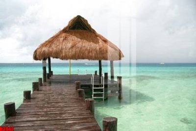 File tranh File tranh decor tranh bộ treo tường tổng hợp H3942 (ảnh gốc) in trần nhà