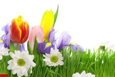 File tranh trang trí File tranh decor tranh bộ treo tường tổng hợp H3964 (file gốc)