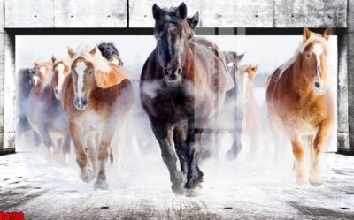 File tranh File tranh decor tranh bộ treo tường tổng hợp H4190 (bản gốc) in lụa 5D