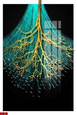 Tải file gốc File tranh decor tranh bộ treo tường tổng hợp H4318 (in tráng gương) 3DFile gốc File tranh decor tranh bộ treo tường tổng hợp H4318 (sẵn sàng in) chất lượng cao