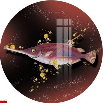 File tranh File tranh decor tranh bộ treo tường tổng hợp H5139 (ảnh gốc) in trần nhà