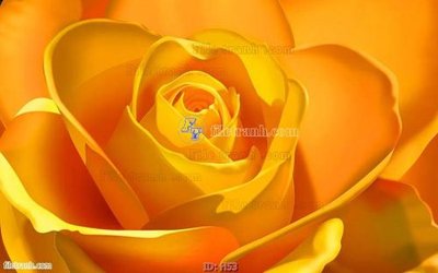 Chi tiết file gốc file tranh hoa H53 (cho in tráng gương)