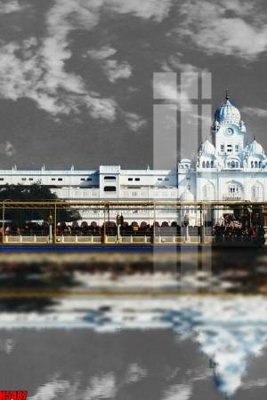 Hình ảnh file gốc in trần nhà File tranh decor tranh bộ treo tường tổng hợp H5487