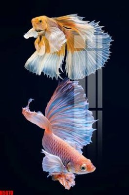 File gốc in mica File tranh decor tranh bộ treo tường tổng hợp H5670 chất lượng