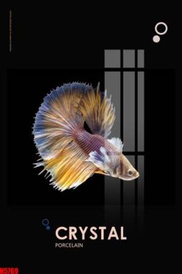 File tranh File tranh decor tranh bộ treo tường tổng hợp H5769 (gốc) chủ đề trẻ em