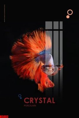 Tải file File tranh decor tranh bộ treo tường tổng hợp H5802 (gốc) chủ đề tôn giáo