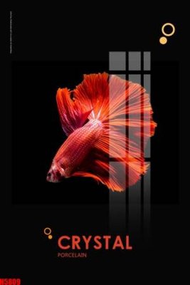 Ảnh gốc file in lụa File tranh decor tranh bộ treo tường tổng hợp H5809 chi tiết