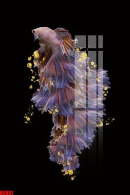 Hình ảnh file gốc File tranh decor tranh bộ treo tường tổng hợp H5891 (chất lượng cao)