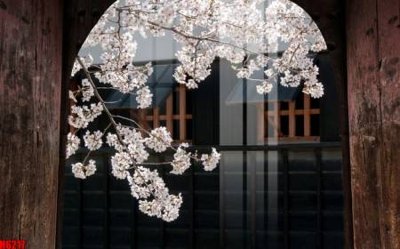 File tranh file tranh nền tường thủy mặc tổng hợp H6217 (ảnh gốc) không bị mờ