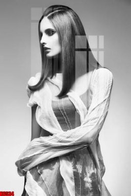 File tranh trang trí file tranh nền tường thủy mặc tổng hợp H6534 (tải file gốc)