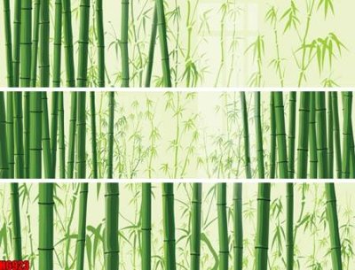 File tranh file tranh tổng hợp H6923 (ảnh gốc) in trần xuyên sáng