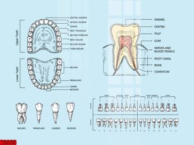 File tranh file tranh tổng hợp H6969 (bản gốc) in canvas