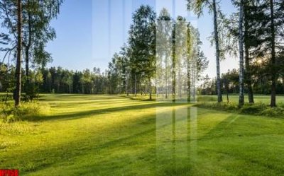 File gốc File tranh gốc in tranh tường nền tổng hợp H7158 (in lụa) tranh mã đáo