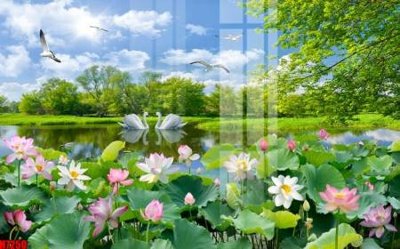 File tranh File tranh gốc in tranh tường nền tổng hợp H7250 (gốc) chủ đề tĩnh vật