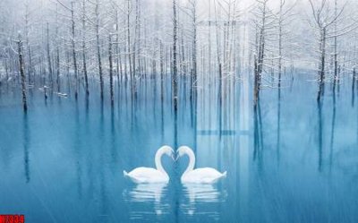 File ảnh File tranh gốc in tranh tường nền tổng hợp H7334 (gốc) cho trang trí nhà hàng