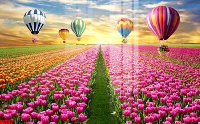 File ảnh File tranh gốc in tranh tường nền tổng hợp H7342 (gốc) in quảng cáo ngoài trời