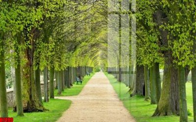 File gốc File tranh gốc in tranh tường nền tổng hợp H7499 (cho in ấn) từ Filetranh.com